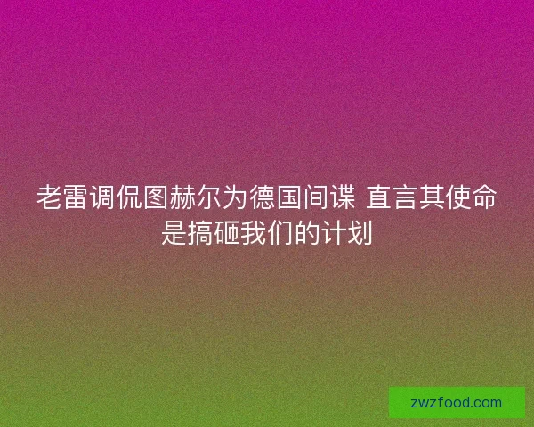 老雷调侃图赫尔为德国间谍 直言其使命是搞砸我们的计划