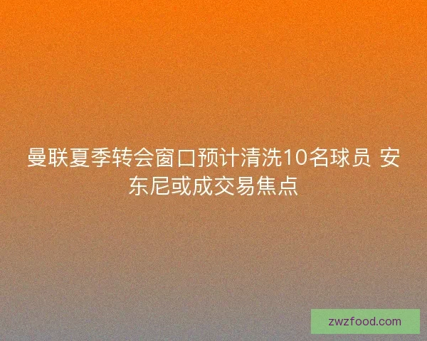 曼联夏季转会窗口预计清洗10名球员 安东尼或成交易焦点
