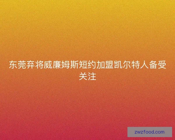 东莞弃将威廉姆斯短约加盟凯尔特人备受关注