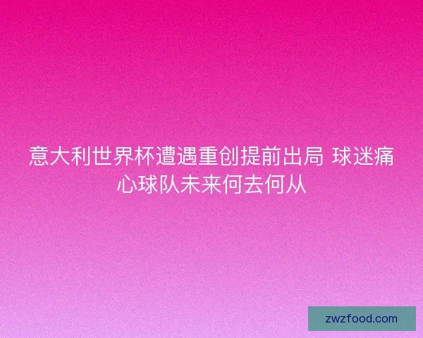 意大利世界杯遭遇重创提前出局 球迷痛心球队未来何去何从