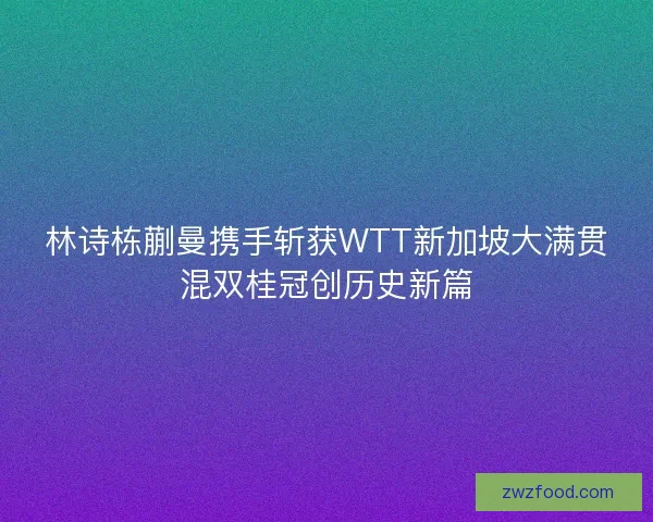 林诗栋蒯曼携手斩获WTT新加坡大满贯混双桂冠创历史新篇
