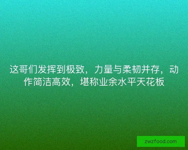 这哥们发挥到极致，力量与柔韧并存，动作简洁高效，堪称业余水平天花板