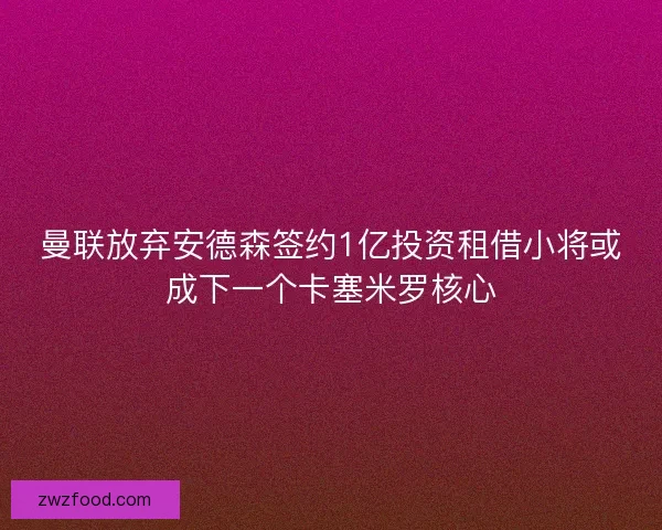 曼联放弃安德森签约1亿投资租借小将或成下一个卡塞米罗核心