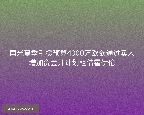 国米夏季引援预算4000万欧欲通过卖人增加资金并计划租借霍伊伦