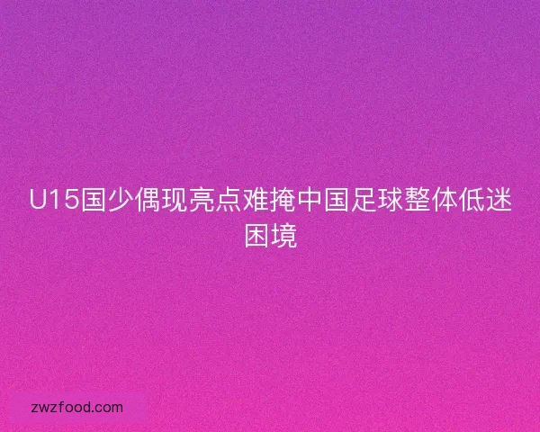 U15国少偶现亮点难掩中国足球整体低迷困境